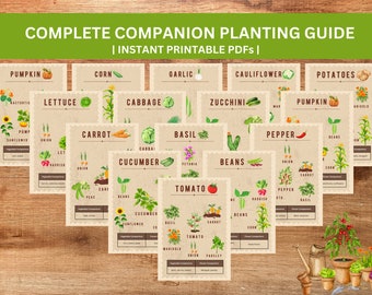 Companion Planting Guide: Square Foot Garden Planner (Printable PDF)