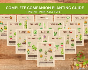 Companion planting guide, Printable, Square foot garden planner, Raised bed planner, Gardening guide, Plant planner, Garden planner