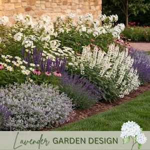 May include: A colourful garden border with a mix of flowering plants. White, purple, and pink flowers are arranged in a curved bed, with a stone wall in the background. The text "Lavender Garden Design" is at the bottom.