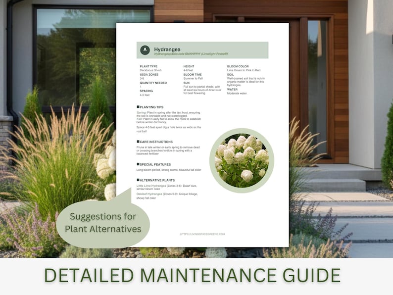 Modern Front Yard Landscape Design Plan | Hydrangea Full Sun Garden ...