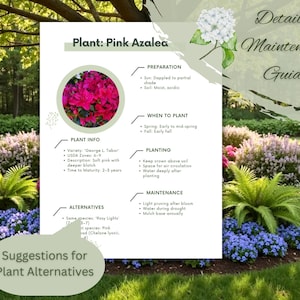 May include: A detailed maintenance guide for Pink Azalea plants. The guide includes plant info, planting instructions, and maintenance tips. The image features a garden bed with pink and blue flowers.