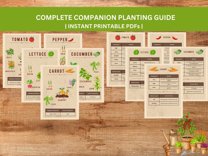 Plant Incompatibility Table Vegetable Companion Planting Guide: Garden Planner (PDF) - Etsy