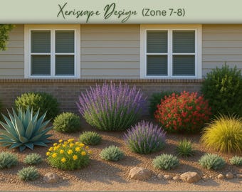 Modern Xeriscape Foundation Garden Design Plan: Zones 7 8, Pre-Planned Landscape Plan (Digital Download)
