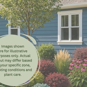 Op de afbeelding: Een huizenexterieur met blauwe gevelbekleding en witte kozijnen. De afbeelding toont een bloembed met diverse planten en bloemen. Tekst op de afbeelding luidt: "Afbeeldingen zijn uitsluitend ter illustratie."