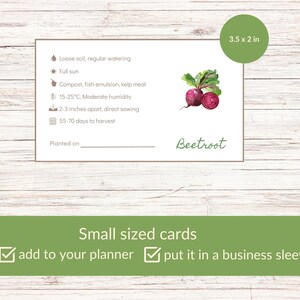 May include: A printable gardening card with a watercolor illustration of a beetroot. The card includes instructions for planting beetroot, including soil type, watering, sun exposure, temperature, spacing, and days to harvest. The card also includes a space to write the date planted. The card measures 3.5 inches by 2 inches.