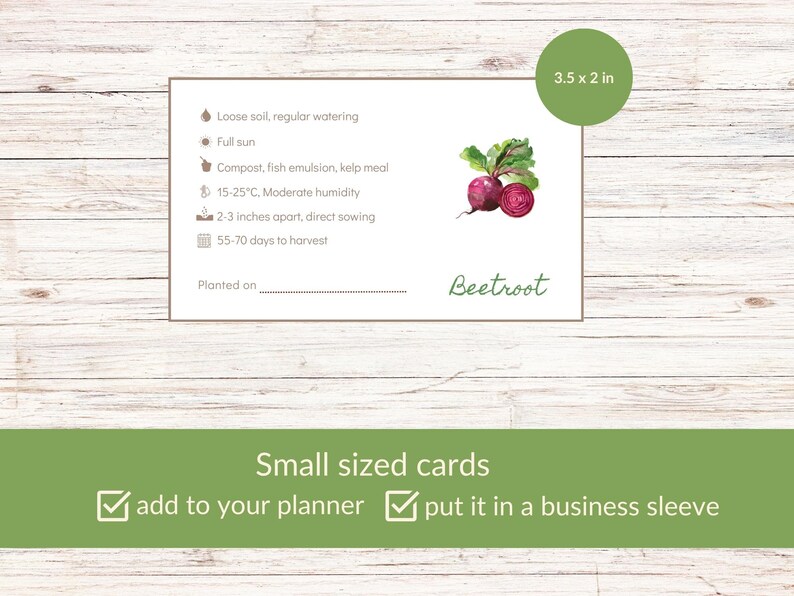May include: A printable gardening card with a watercolor illustration of a beetroot. The card includes instructions for planting beetroot, including soil type, watering, sun exposure, temperature, spacing, and days to harvest. The card also includes a space to write the date planted. The card measures 3.5 inches by 2 inches.