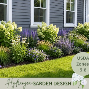 Op de afbeelding: Een tuinlandschap met witte hortensia's, paarse salie en groen siergras geplant langs een donkergrijze gevel. Een cirkelvormige afbeelding toont de tekst USDA Zones 5-8 en de tekst Hydrangea GARDEN DESIGN.