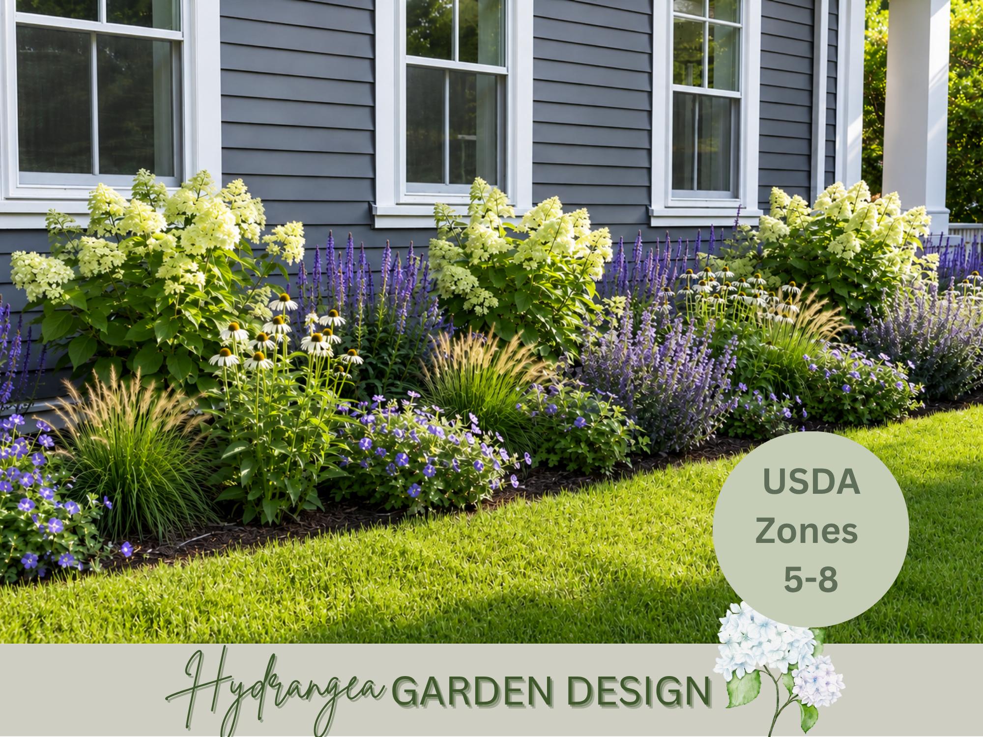 Hydrangea Garden Design Plan: Full Sun Front Yard Landscape Design ...