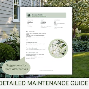 May include: A detailed maintenance guide for Chinese Astilbe plants, featuring plant type, height (18-24 inches), bloom time, soil, and water requirements. Includes planting tips, care instructions, and alternative plant suggestions. The guide is set against a backdrop of a garden.