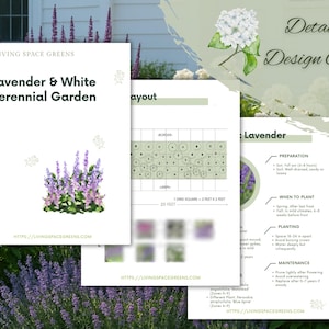 May include: A detailed design guide for a lavender and white perennial garden. The guide includes a layout, preparation, and maintenance tips. The image features a white background with text and illustrations of lavender and white flowers.