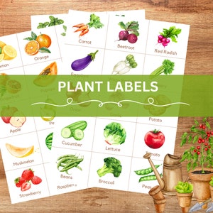 May include: A set of printable plant labels featuring watercolor illustrations of various fruits, vegetables, and herbs. The labels are organized in a grid format and include names such as carrot, beetroot, red radish, orange, lemon, grapefruit, apple, papaya, onion, cucumber, lettuce, tomato, muskmelon, beans, broccoli, peas, and strawberry.