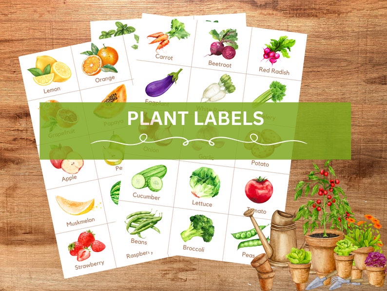 May include: A set of printable plant labels featuring watercolor illustrations of various fruits, vegetables, and herbs. The labels are organized in a grid format and include names such as carrot, beetroot, red radish, orange, lemon, grapefruit, apple, papaya, onion, cucumber, lettuce, tomato, muskmelon, beans, broccoli, peas, and strawberry.