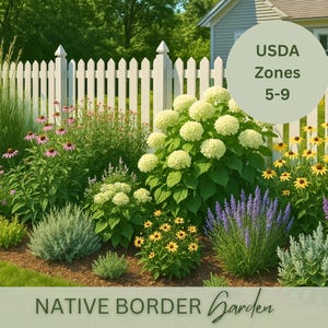 May include: A colourful native border garden with diverse flowering plants, such as coneflowers, hydrangeas, and black-eyed Susans, set against a white picket fence. The image includes the text "USDA Zones 5-9" and "Native Border Garden."