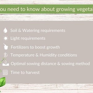 May include: A list of factors to consider when growing vegetables, including soil and watering requirements, light requirements, fertilizers, temperature and humidity conditions, optimal sowing distance and method, and time to harvest.
