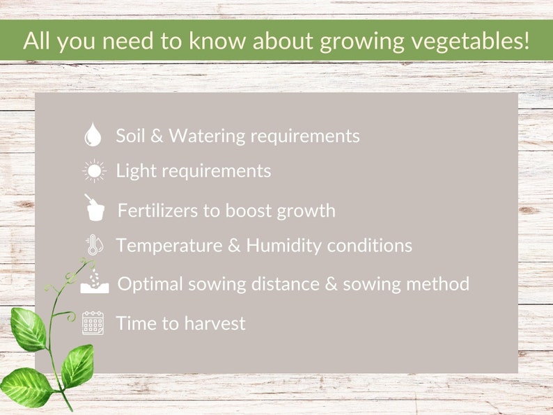 May include: A list of factors to consider when growing vegetables, including soil and watering requirements, light requirements, fertilizers, temperature and humidity conditions, optimal sowing distance and method, and time to harvest.