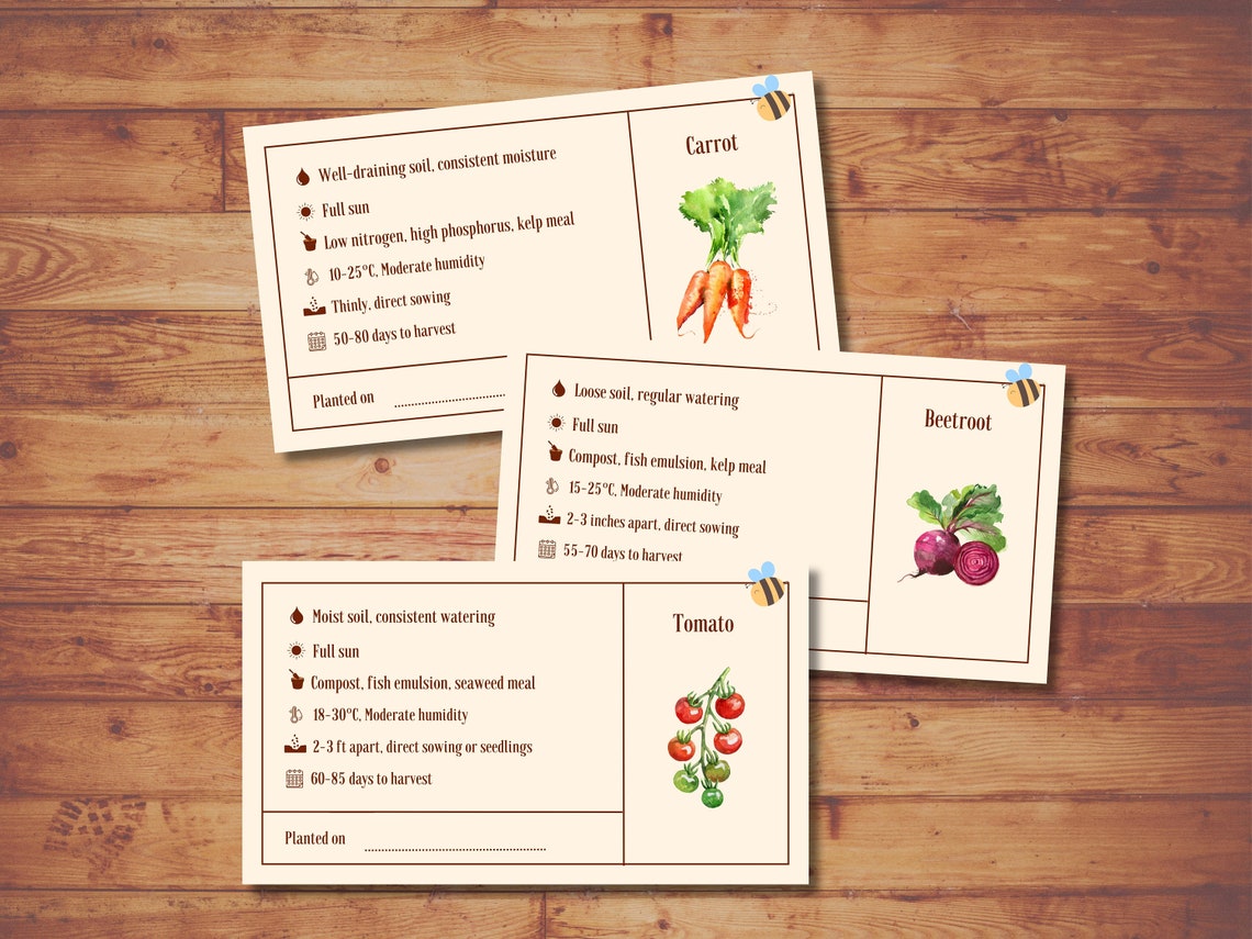 Plant Care Cards, Plant Labels, Printable Plant Care Instructions Tag ...