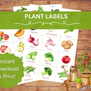 Printable Vegetable Garden Labels: Fruits, Herbs, Seedlings (PDF)