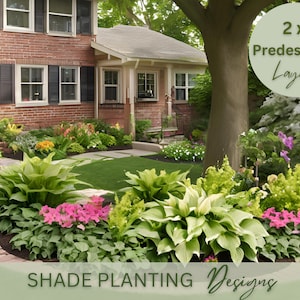 Shade Planting Landscape Design Zone 5 6 7 8 9 Front Yard Landscaping Preplanned Garden Modern Yard Plan Under Shade Tree Yard Curb Appeal