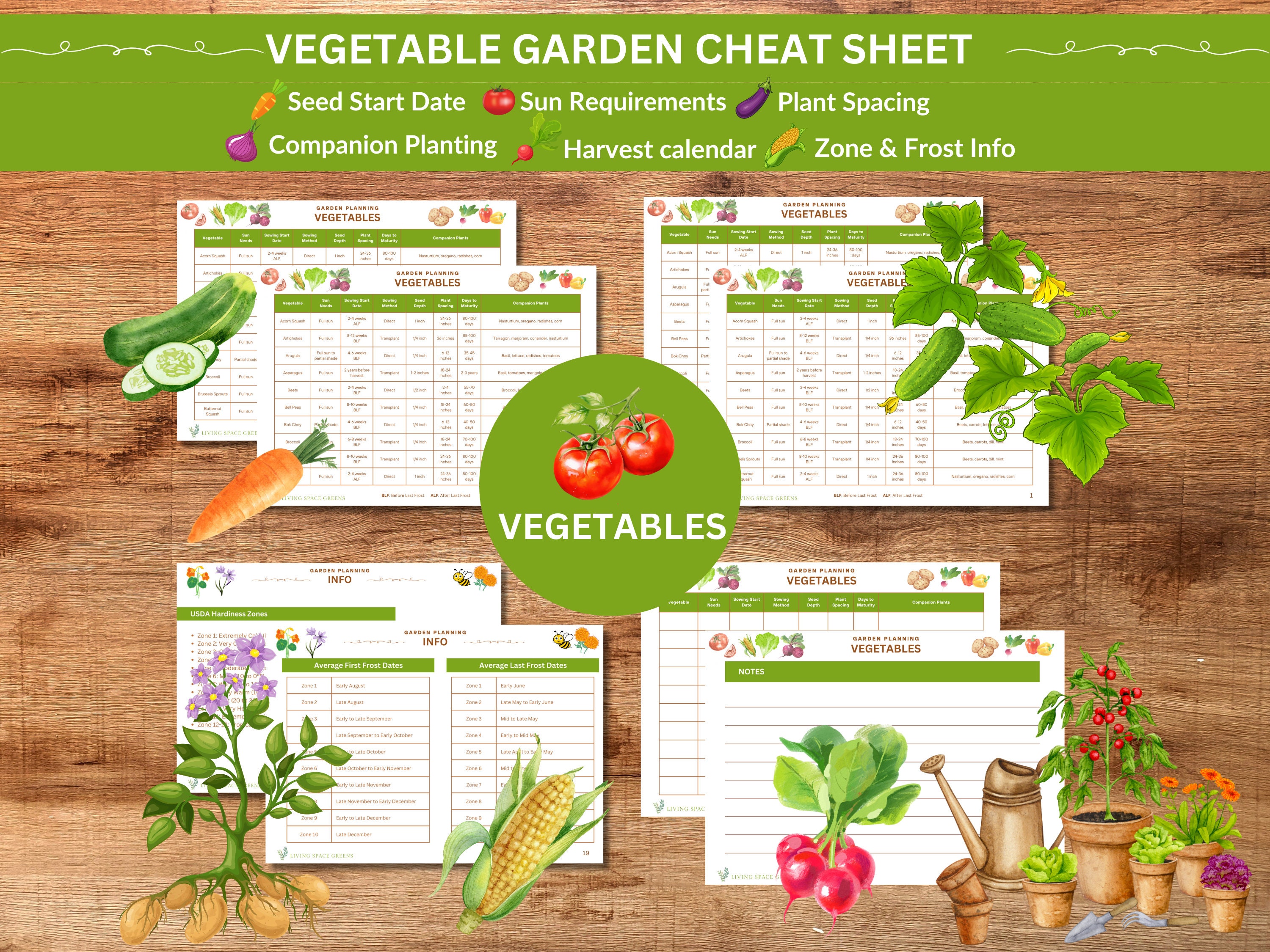 Vegetable Garden Planner: Seed Starting Guide (digital Download) - Etsy, image size:3000x2250