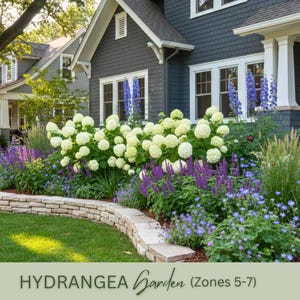 May include: A vibrant garden bed featuring white hydrangea blooms, purple salvia, and blue flowers. A stone retaining wall curves along the edge of the lawn. The text "HYDRANGEA Garden (Zones 5-7)" is at the bottom of the image.
