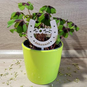New Year&#39;s Eve/New Year&#39;s Eve - Plug/Lucky Charm