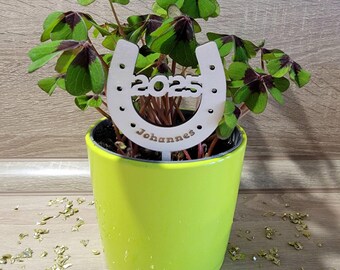 New Year's Eve/New Year's Day - Plug-in/Lucky Charm