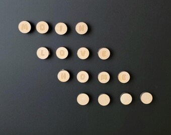 Set van 4 ronde magneten