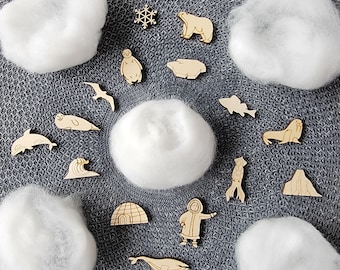 Verpakking van 30 verspreide decoraties Arctic "Mix"