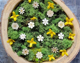 35-pack strooibloemen "Mix"