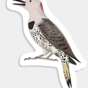 autocollant nordique de scintillement | autocollant d'oiseau | d'amoureux des oiseaux de la nature | Autocollant en vinyle, autocollant pour ordinateur portable, journal, bouteille, téléphone