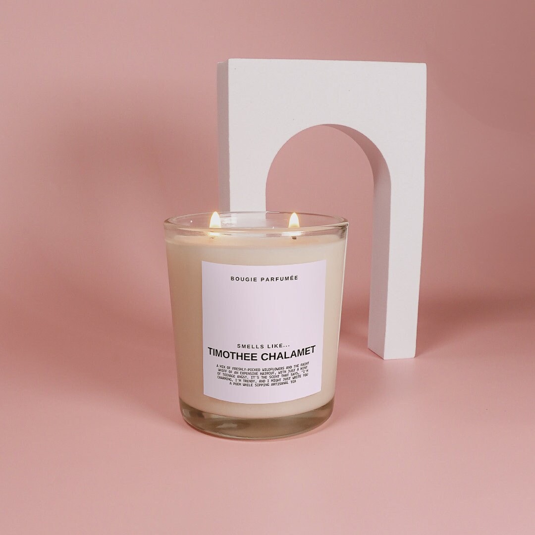 Smells Like Timothee Chalamet Candle Pop Culture Gifts Funny Gifts