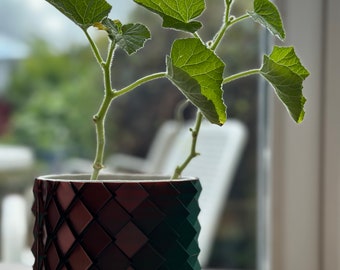 acidic color vase