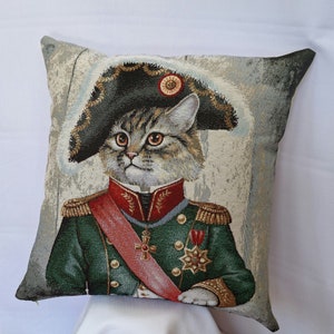 estuche pellow 47x47 gato napoleon