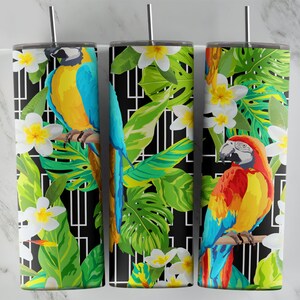 Parrot tumbler design, 20 oz skinny tumbler design, sublimation image, tumbler wrap, Parrot cup, Parrot sublimation, tumbler design, 20oz