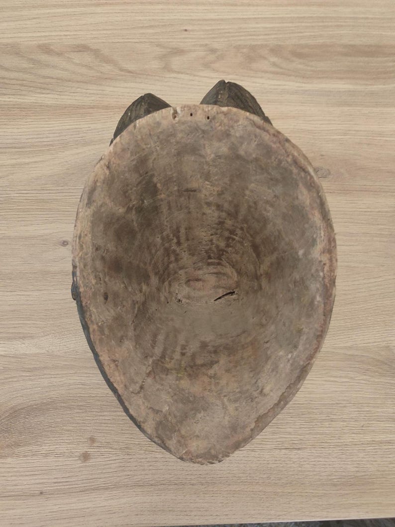 May include: A hollowed-out, oval-shaped wooden mask viewed from the interior. The interior surface shows a rough, light brown, unfinished wood texture with visible grain patterns and a small crack near the center. The edges are dark and worn.