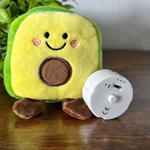 Personalized voice message gift for kids, emotional support, stress relief, anxiety relief, sound recording message, plush bag