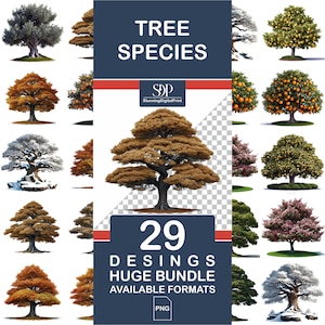 29 Tree Clipart , Png Bundle,Watercolor Green Realistic Trees,Forest Trees Watercolor,Trees Png,Tree Clipart,Digital Download,Commercial Use