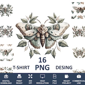 16 Motte Png Bundle, hochwertige Png, transparente Png, Motte Schmetterling Clipart, Motte Schmetterling Druck, Motte Png für Shirts, kommerzielle Nutzung