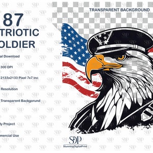 May include: A digital illustration of a bald eagle wearing a military hat with an American flag in the background. The eagle is facing the right side of the image. The text "87 PATRIOTIC SOLDIER" is in the upper left corner of the image.