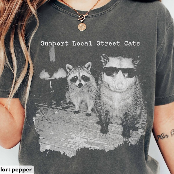 Support Local Street Cats Shirt, Funny Raccoon Skunk Possum T-Shirt, Retro Animal Lover Meme Tee, Vintage Style Comfort Colors T-Shirt