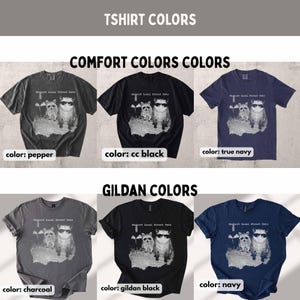 Support Local Street Cats Shirt, Funny Raccoon Skunk Possum T-Shirt, Retro Animal Lover Meme Tee, Vintage Style Comfort Colors T-Shirt image 7