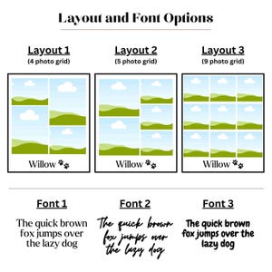 May include: A graphic showing three different photo layouts for a pet photo collage. The layouts are labeled Layout 1, Layout 2, and Layout 3. Each layout shows a different number of photos in a grid format. The layouts are labeled with the number of photos in each grid. The text "Willow" appears below each layout. Below the layouts are three different font options for the text "The quick brown fox jumps over the lazy dog". The fonts are labeled Font 1, Font 2, and Font 3.