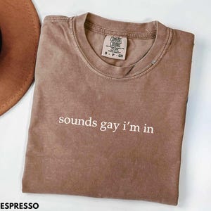 Funny Pride Shirt, Gay Rights Tshirt Pride 2025, Funny Ally T-Shirt, Gay Shirt Lesbian Shirt, Comfort Colors Pride Month Tee Gay Gifts