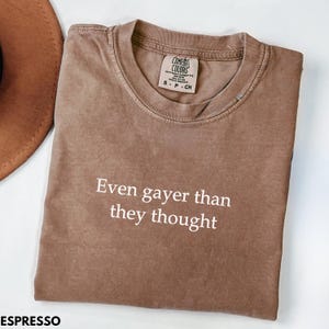 Funny Pride Shirt, Gay Rights Tshirt Pride 2025, Funny Ally T-Shirt, Gay Shirt Lesbian Shirt, Comfort Colors Pride Month Tee Gay Gifts