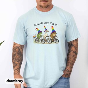 May include: Light blue t-shirt with the text "Sounds gay I'm in". The shirt features a whimsical illustration of a frog, a duck, and a toad riding bicycles, each wearing a rainbow-colored wizard hat. A rainbow flag is also included.