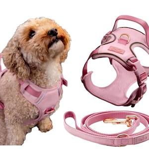 Pink Dog Harness and Leash Matching set | rose gold dog harness and leash | no pull harness | harness with handle