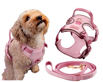 Puede incluir: Un arnés para perro de color rosa claro con correas ajustables, un asa superior y una anilla en D de metal, junto con una correa rosa a juego que cuenta con un cierre de metal en tono oro rosa. El arnés se muestra en un perro pequeño rizado.