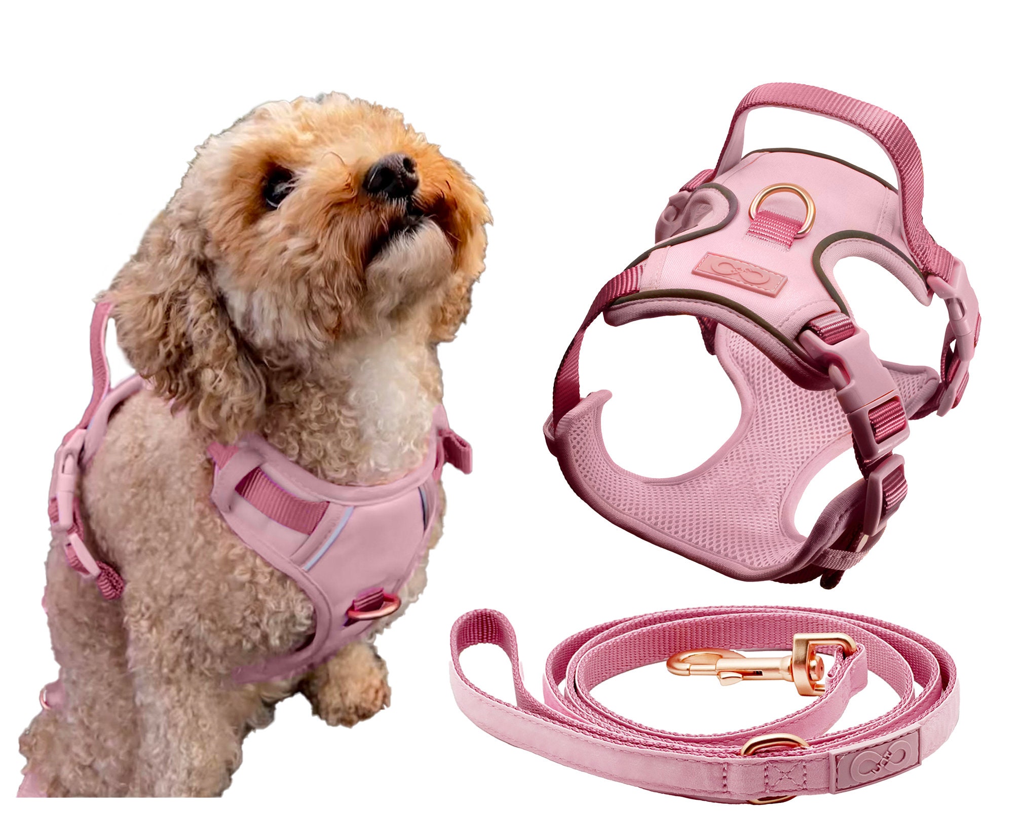Gold harness for dogs online