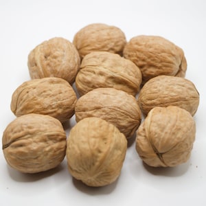 May include: A group of ten whole walnuts, with their shells still on, are arranged in a circle on a white surface.