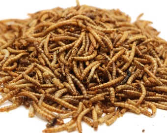 May include: A close-up of a pile of dried mealworms, a popular food source for reptiles and other pets.